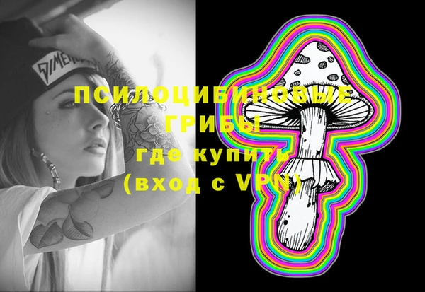 бошки Великий Новгород