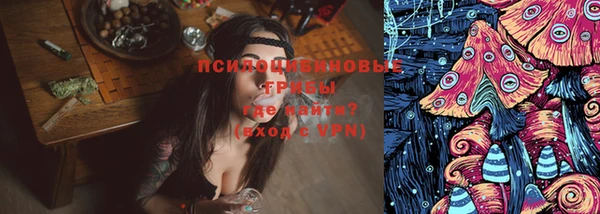 ПСИЛОЦИБИНОВЫЕ ГРИБЫ Балахна