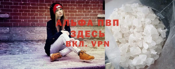 apvp Рославль