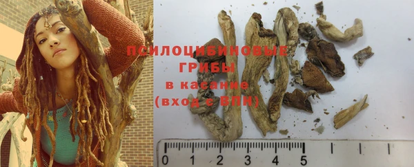 бошки Саяногорск