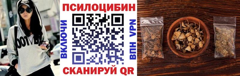 Псилоцибиновые грибы Cubensis  ОМГ ОМГ   Белинский 