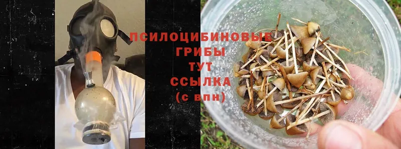 хочу наркоту  Белинский  Галлюциногенные грибы MAGIC MUSHROOMS 